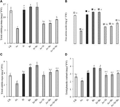 Application of silicon and biochar alleviates the adversities of arsenic stress in maize by triggering the morpho-physiological and antioxidant defense mechanisms